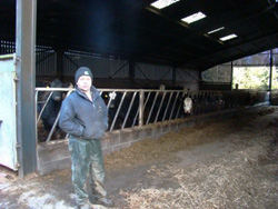 Simon Bainbridge in front of some replacement heifers.
